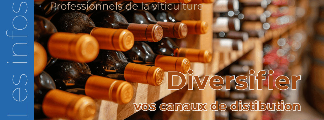 Diversification canaux viticoles