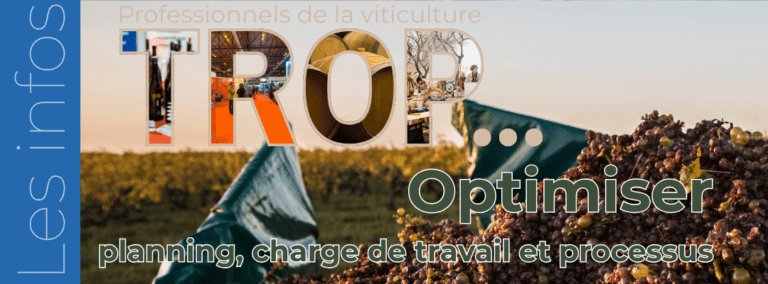 Organiser l’année d’un domaine viticole : 4 saisons, 4 métiers