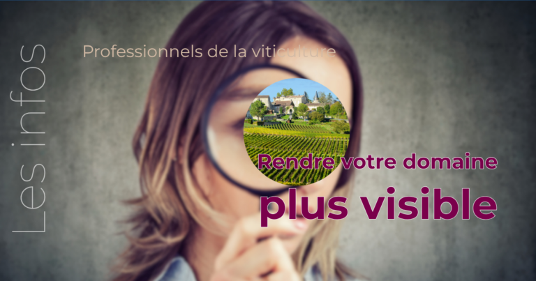 Caveau de dégustation : 5 leviers pour transformer un beau lieu en vrai centre de profit